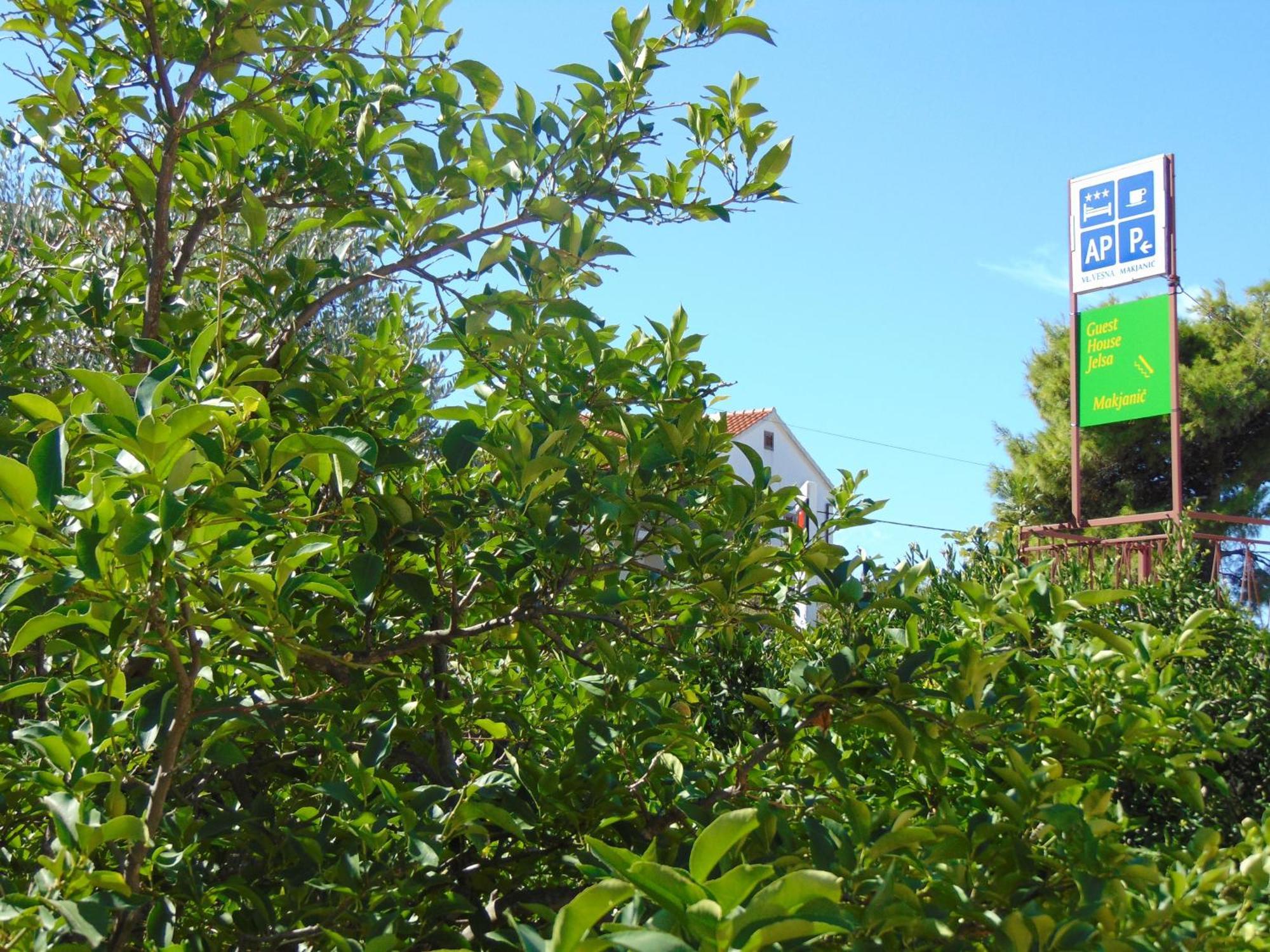 Guest House Jelsa Jelsa  Δωμάτιο φωτογραφία