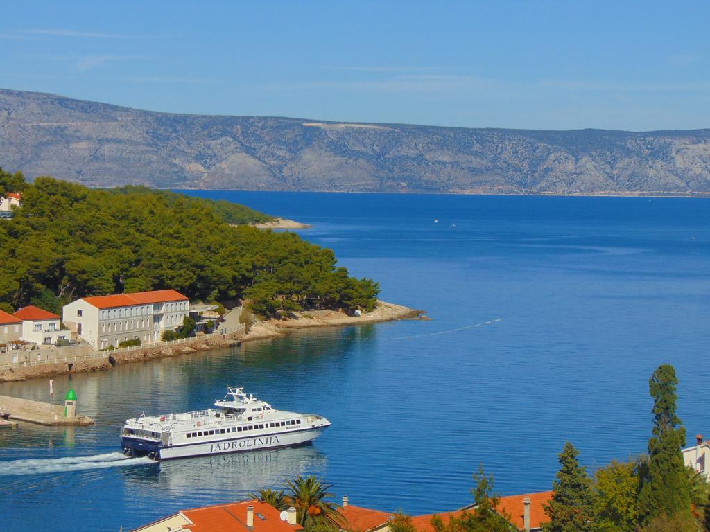 Guest House Jelsa Jelsa  Εξωτερικό φωτογραφία